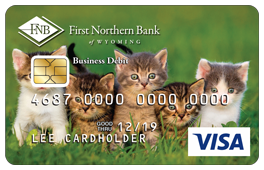 VISA business debit card 5 kittens