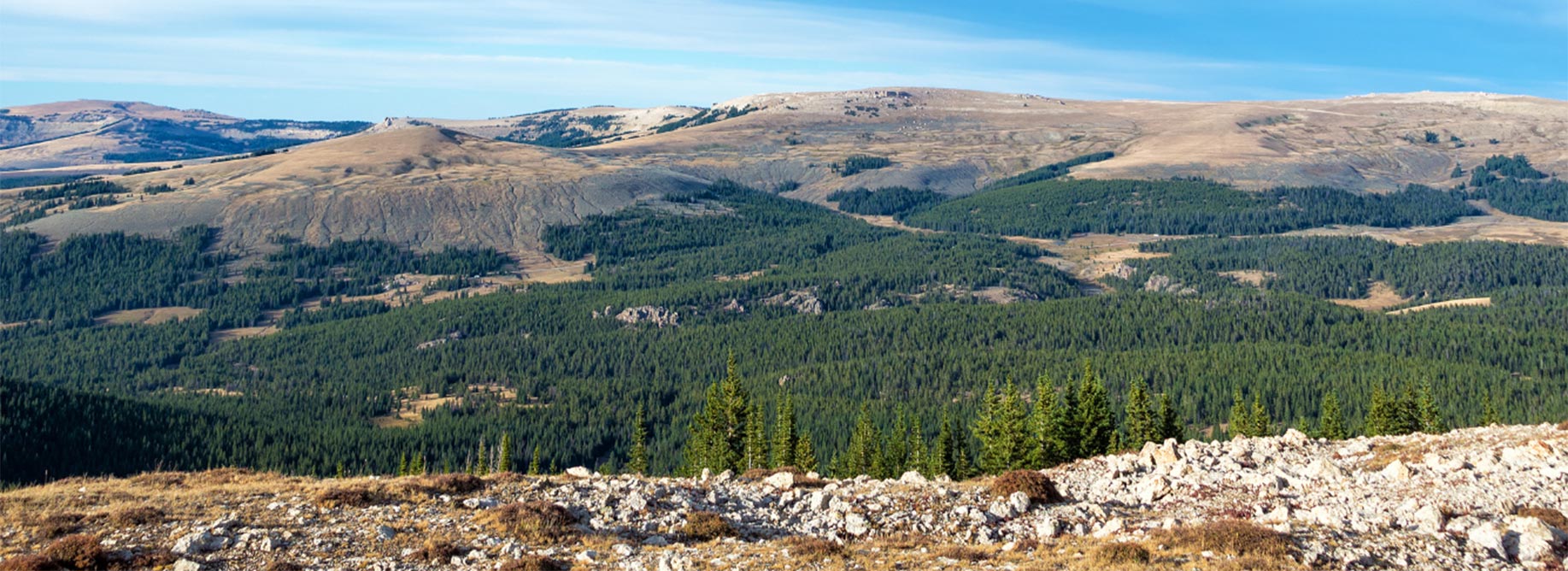 Panoramic view of a field with mountains in the background