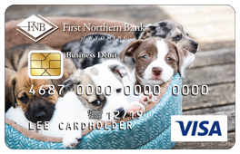 VISA business debit card 4 puppies laying in a pouch cusion