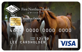 VISA business debit horses in a field design