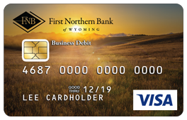 VISA business debit field sunset design