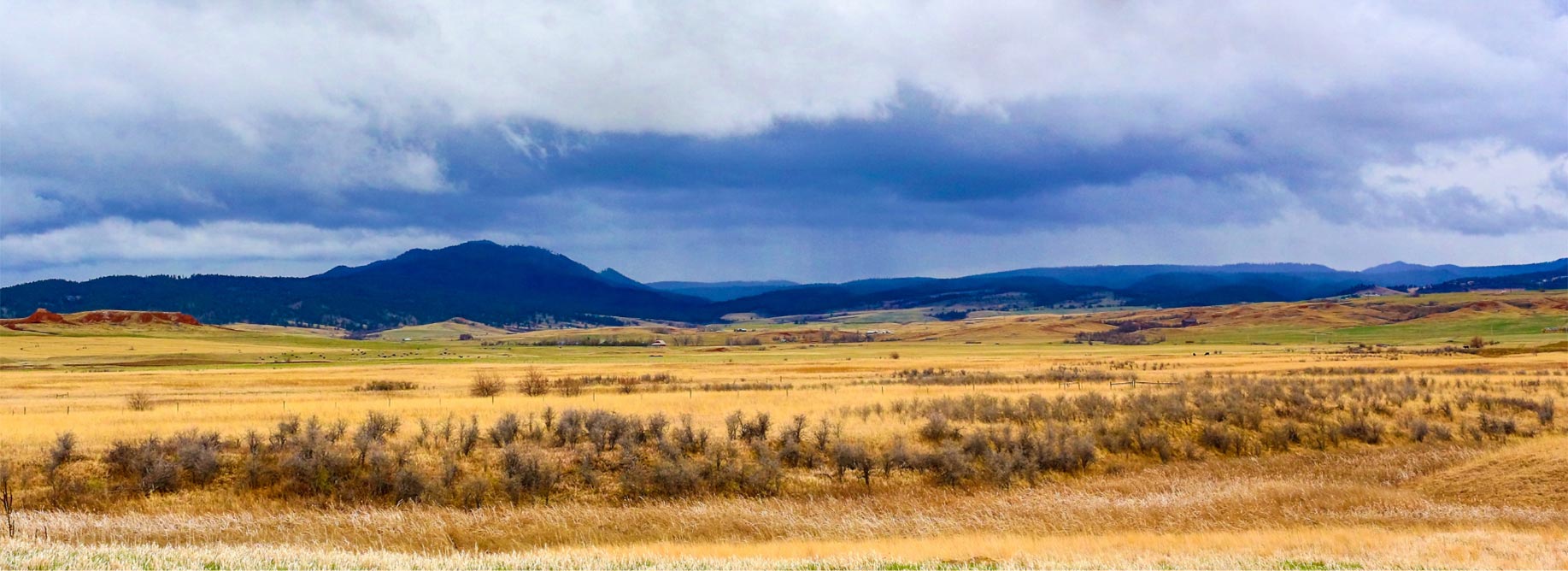 Panoramic view of a field with mountains in the background