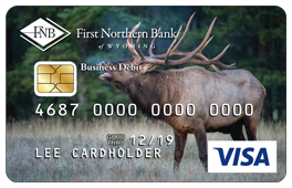 VISA business debit card elk design